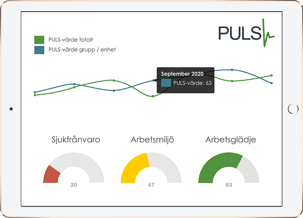 Ipad-Puls