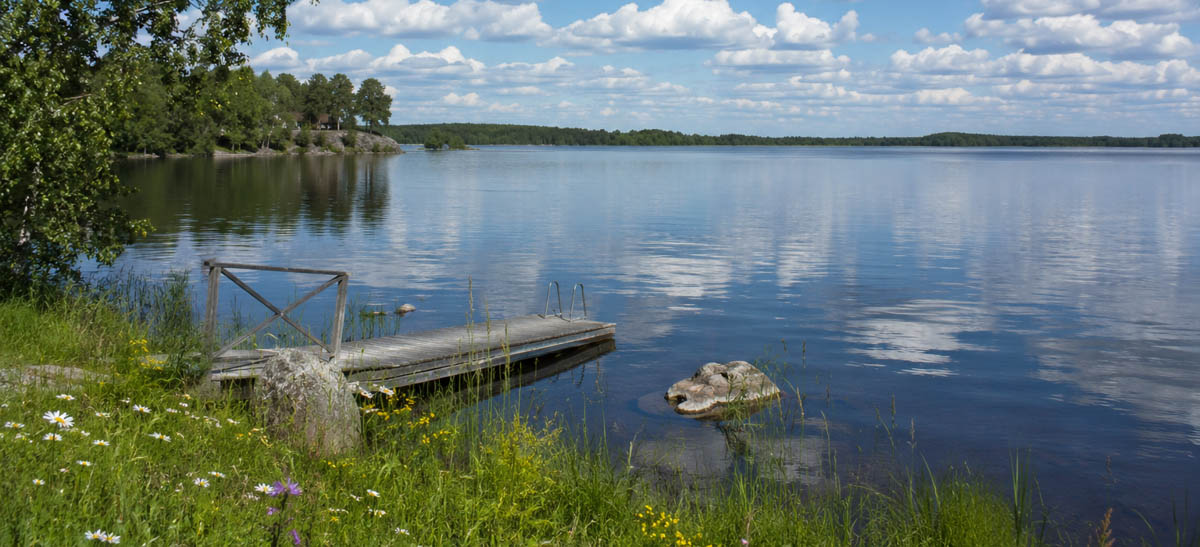 Lantlig brygga vid en sjö på sommaren.