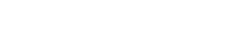 Zondera logo inverterad. Förstoringsglas